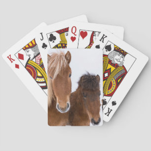 Cute Icelandic Horses Together Playing Cards