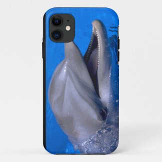 Cute iPhone 5 Cases Beautiful Dolphin