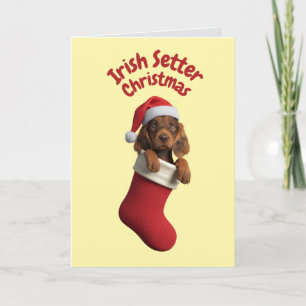 Cute Irish Setter Dog Christmas Card