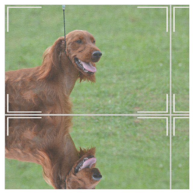 Cute Irish Setter Fabric (Close Up)