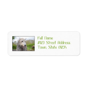 Cute Irish Wolfhound Return Address Label