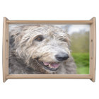 Cute Irish Wolfhound
