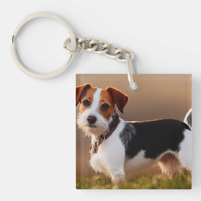 Cute Jack Russel Terrier Dog Photograph Key Ring (Front)