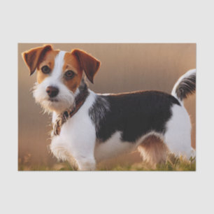 Cute Jack Russel Terrier Dog Photograph Tissue Paper