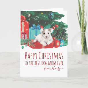 Cute Jack Russell Puppy Christmas Holiday Card
