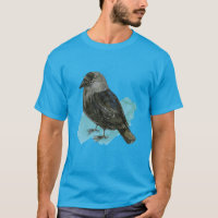 Cute jackdaw