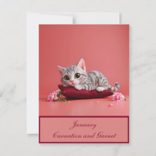 Cute January Cat with Carnations Postcard