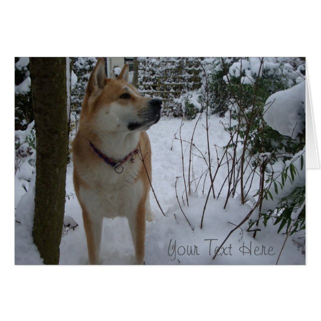 Cute japanese akita dog in the snow at christmas (Front Horizontal)