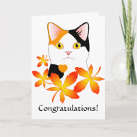 Cute Japanese Bobtail Cat Congratulations card