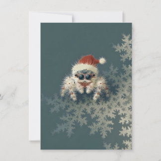Cute Jumping Spider Christmas Cards