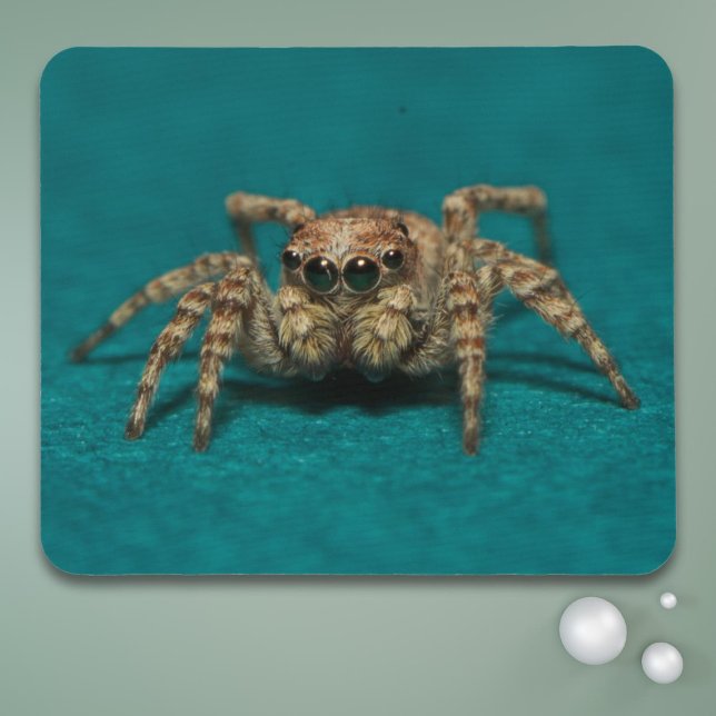 Cute Jumping Spider Photo Mouse Pad (Creator Uploaded)