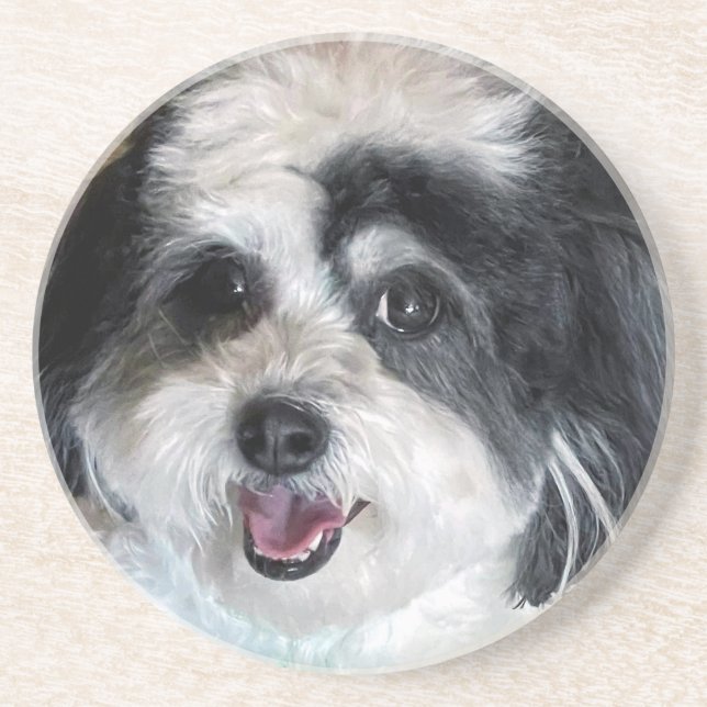 Cute K-Cee Zuchon Dog Coaster (Front)