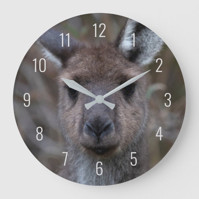 Cute Kangaroo Face Close-up Australia Large Clock (Front)