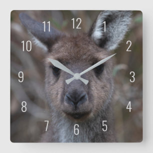 Cute Kangaroo Face Close-up Australia Square Wall Clock