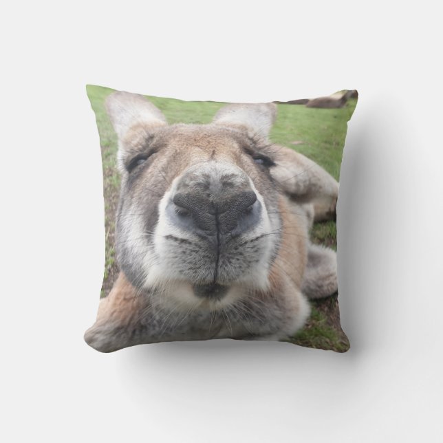 Cute Kangaroo Funny Face Australia Wildlife Photo Cushion (Front)