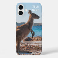 Cute Kangaroo on the Beach Summer Australia