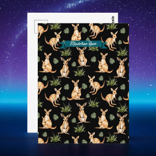 Cute Kangaroo Postcard Australian Wildlife Gift