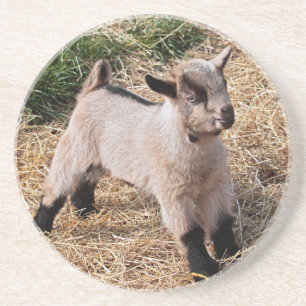 Cute Kid Coaster