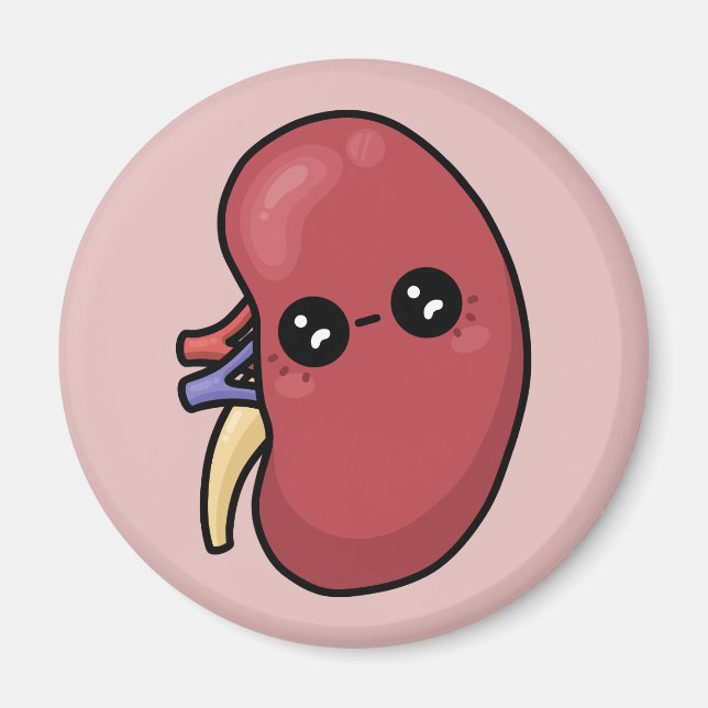 Cute Kidney - Human Biology Magnet (Front)