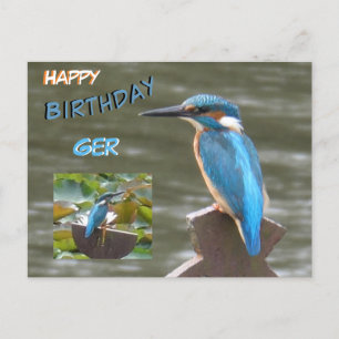 Cute Kingfishers Cust. Happy Birthday Postcard