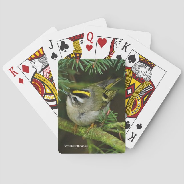 Cute Kinglet Songbird Causes a Stir in the Fir Playing Cards (Back)