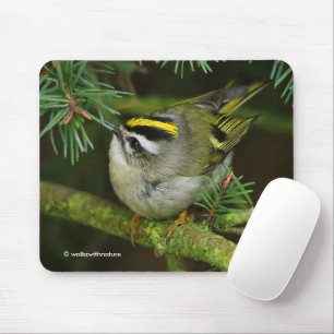 Cute Kinglet Songbird Causes Stir in the Fir Mouse Pad