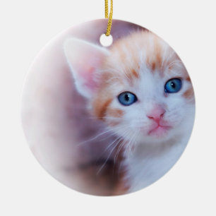 Cute Kitten 1 Photo Ceramic Ornament