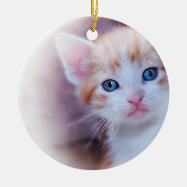Cute Kitten 2 Photo Round Ceramic Ornament (Front)