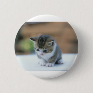 Cute Kitten 6 Cm Round Badge