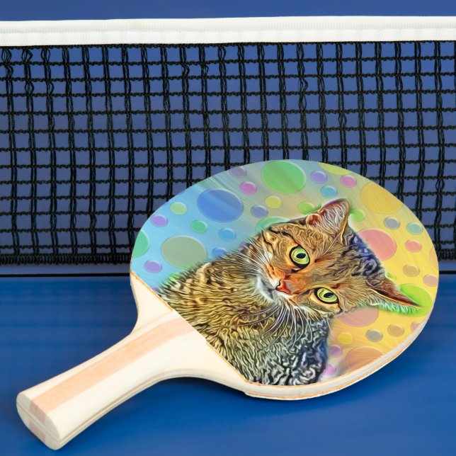 Cute kitten - abstract - colourful painting ping pong paddle (Insitu)