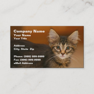 Cute Kitten Against a Brown Background Business Card
