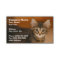 Cute Kitten Against a Brown Background