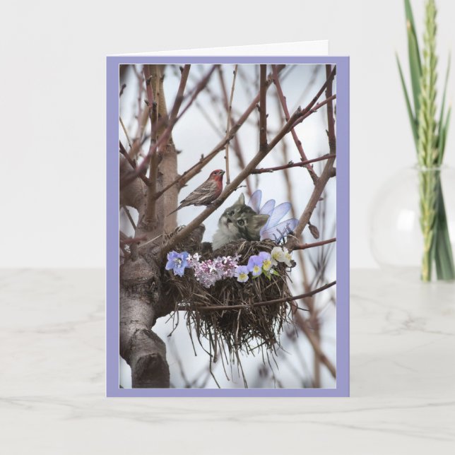 Cute kitten and bird nest Easter or Spring Holiday Card (Front)