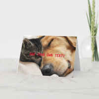 Cute Kitten and Puppy ADD YOUR OWN TEXT