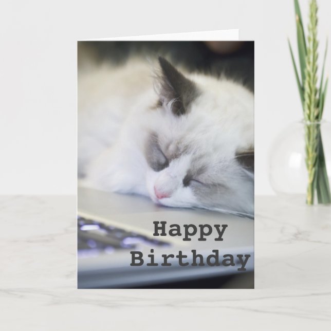 Cute Kitten Asleep Happy Birthday Card (Front)