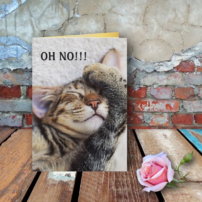 Cute Kitten Belated Birthday Card (Creator Uploaded)