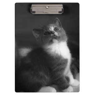 Cute Kitten Black and White Portrait Photograph Clipboard