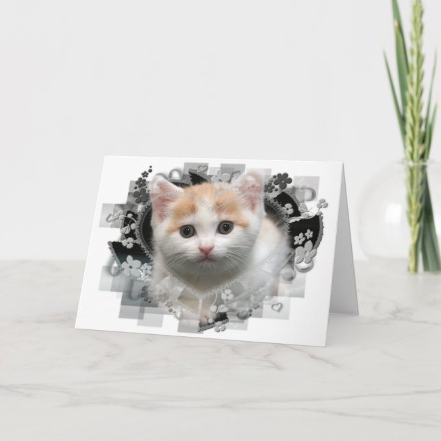 Cute Kitten Blank Greeting Card (Front)