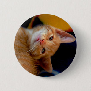 Cute Kitten Button