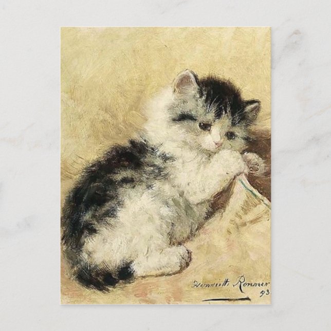 Cute Kitten by Ronner Postcard (Front)