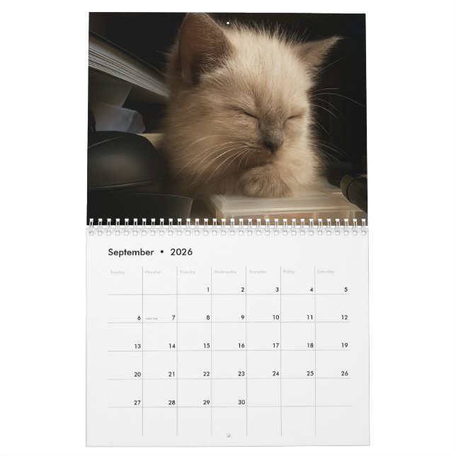 Cute kitten calender for 2026 calendar (Sep 2026)