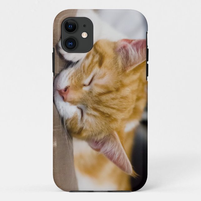 Cute Kitten Case-Mate iPhone Case (Back)