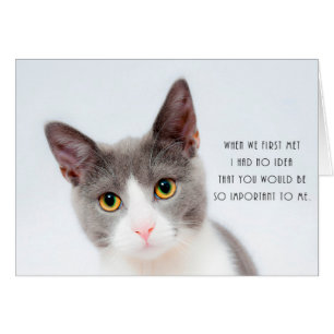 Cute Kitten Cat Romantic Love Birthday Card