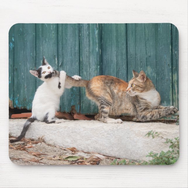 Cute Kitten Chasing Mum's Tail Funny Cat Photo Mouse Pad (Front)