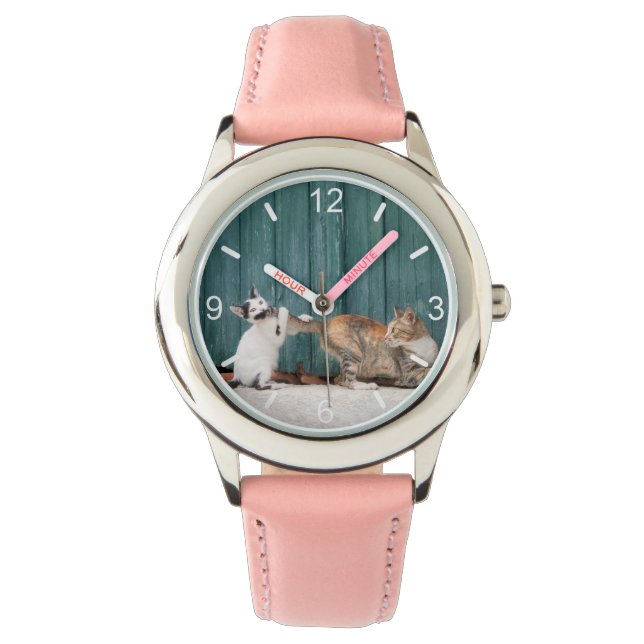 Cute Kitten Chasing Mum's Tail Funny Cat Photo - Watch (Front)