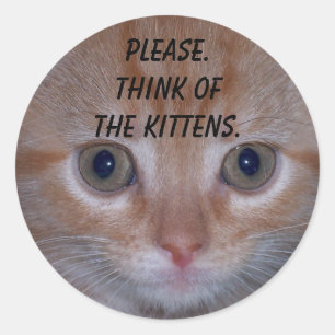 Cute Kitten Classic Round Sticker