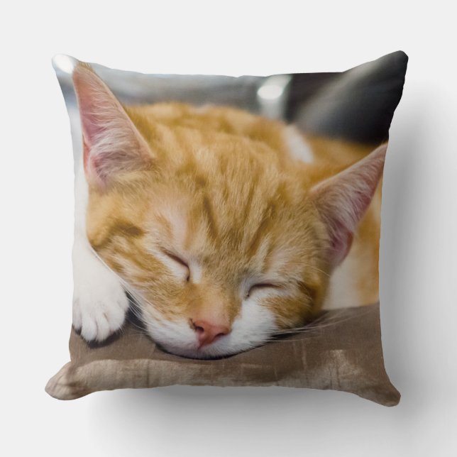 Cute Kitten Cushion (Front)