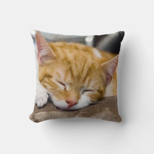 Cute Kitten Cushion