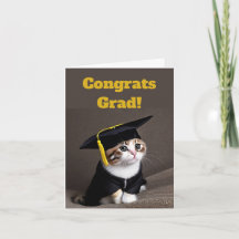 Cute Kitten Graduation