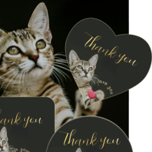 Cute Kitten I love you with Heart Sticker